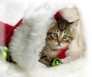 yapboz Santa&#039;s Cap kedi yavrusu